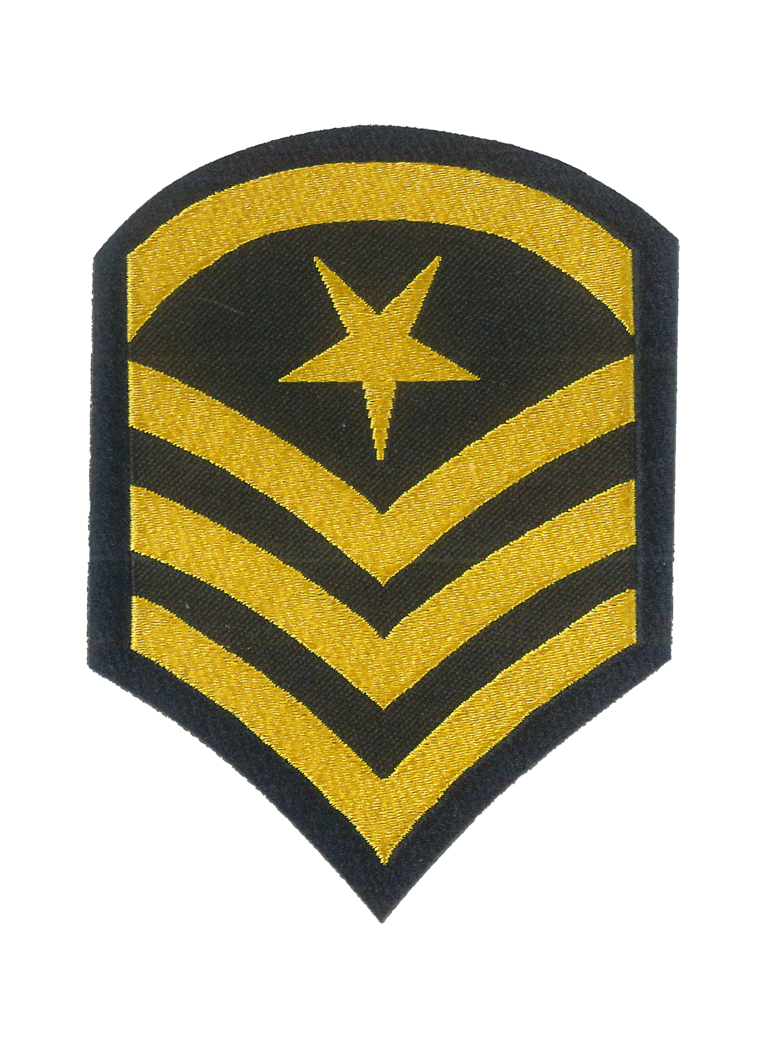 Vevd Badge Officer - 315